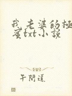 我老婆的极品闺蜜txt小说