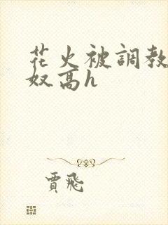 花火被调教成肉奴高h