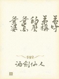 爸爸的弟弟的老婆怎么称呼