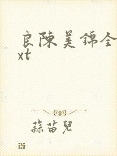 良陈美锦全文txt