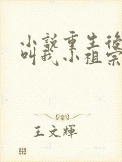 小说重生后大佬叫我小祖宗
