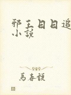 邪王日日追妻忙小说