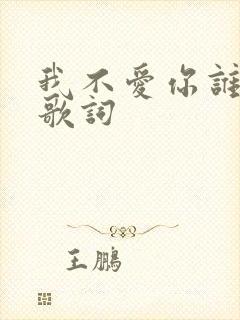 我不爱你谁爱你歌词