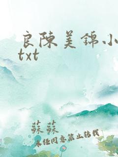 良陈美锦小说.txt