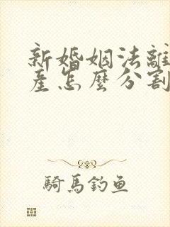 新婚姻法离婚财产怎么分割