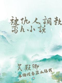 被仇人调教成禁脔h小说