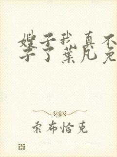 嫂子我真不是傻子了叶凡免费全本大结局