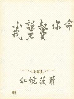 小说叔你命中缺我免费