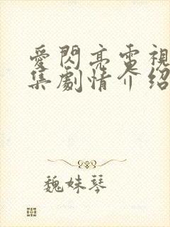 爱闪亮电视剧分集剧情介绍