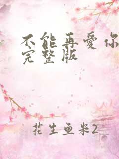 不能再爱你原唱完整版