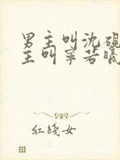 男主叫沈砚舟女主叫宁若曦的小说