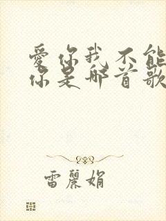 爱你我不能失去你是哪首歌名