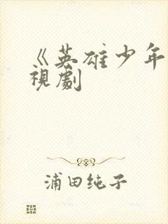 《英雄少年》电视剧