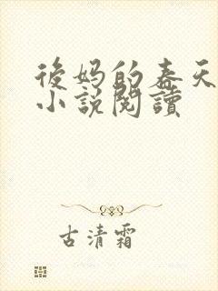 后妈的春天小成小说阅读