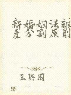 新婚姻法离婚财产分割原则