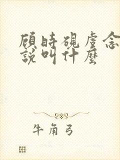 顾时砚虞念初小说叫什么