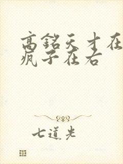 高铭天才在左,疯子在右