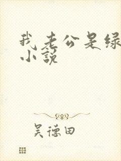 我老公是绿帽奴小说