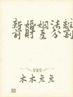 新婚姻法离婚婚前财产分割