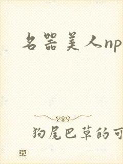 名器美人nph