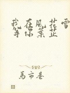 我在风花雪月里等你叶芷