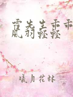 霍先生乖乖宠我风羽轻轻