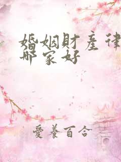 婚姻财产律师找哪家好