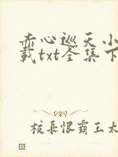 赤心巡天小说下载txt全集下载