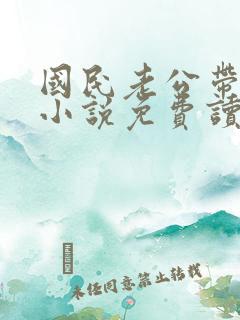 国民老公带回家小说免费读