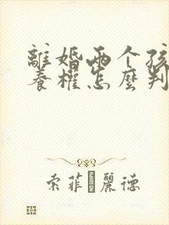 离婚两个孩子抚养权怎么判定