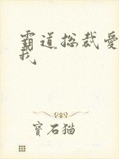 霸道总裁爱 上我