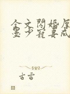 全文闪婚厚爱:墨少宠妻成瘾