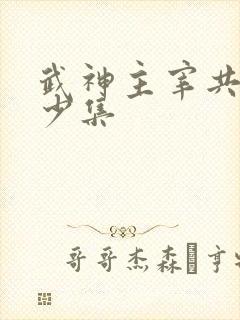 武神主宰共计多少集