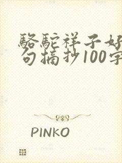 骆驼祥子好词好句摘抄100字