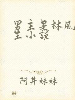 男主是林风的重生小说