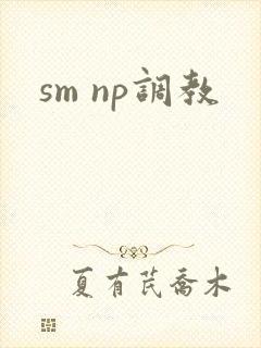 sm np调教