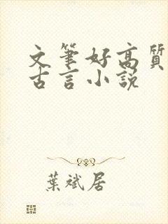 文笔好高质量的古言小说