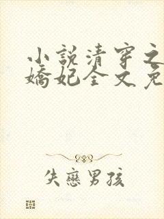 小说清穿之太子娇妃全文免费阅读