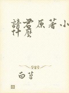 请君原著小说叫什么