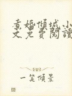 煮婚倾城小说全文免费阅读