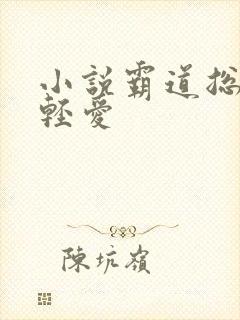 小说霸道总裁轻轻爱