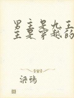 男主是九王爷女主是穿越的文