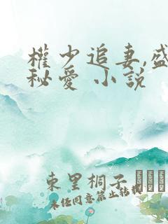 权少追妻,盛婚秘爱 小说