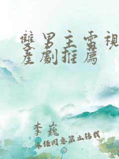 双男主电视剧国产剧推荐