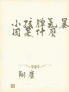 小孩脾气暴躁原因是什么