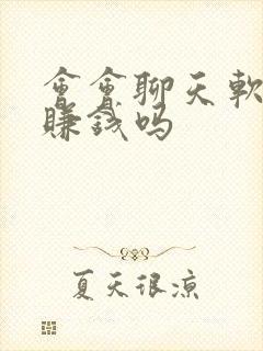 会会聊天软件能赚钱吗