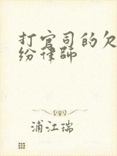 打官司的欠款纠纷律师