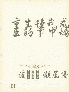 重生后我成了权臣的掌中娇宁晚舟