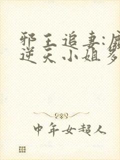 邪王追妻:废材逆天小姐多少字