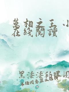 万相之王 小说在线阅读